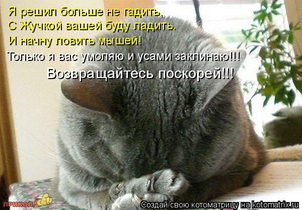 Я решил больше не гадить, С Жучкой вашей буду ладить. И начну ловить мышей! Только я вас умоляю и ус... Котоматрица: Я решил больше не гадить, С Жучкой вашей буду ладить. И начну ловить мышей! Только я вас умоляю и усами заклинаю!!! Возвращайтесь поскорей!!!