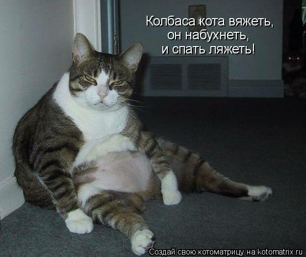 Колбаса кота вяжеть, он набухнеть, и спать ляжеть!... Котоматрица: Колбаса кота вяжеть, он набухнеть, и спать ляжеть!