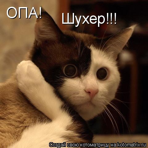 ОПА! Шухер!!!... Котоматрица: ОПА! Шухер!!!