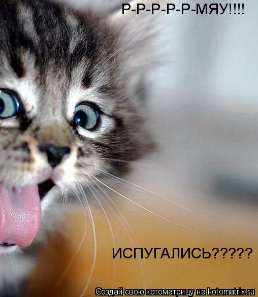 Котоматрица: Р-Р-Р-Р-Р-МЯУ!!!! ИСПУГАЛИСЬ?????