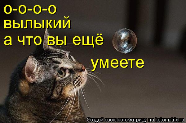 о-о-о-о вылыкий а что вы ещё умеете... Котоматрица: о-о-о-о вылыкий а что вы ещё умеете