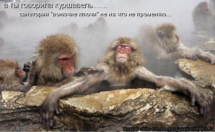 Котоматрица: а ты говорила куршавель.......  санаторий "вонючие ключи" не на что не променяю...