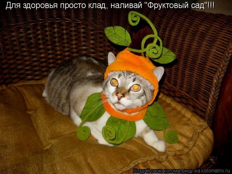 Котоматрица: Для здоровья просто клад, наливай "Фруктовый сад"!!!