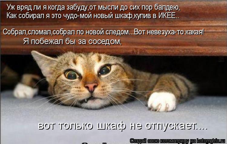 Собрал,сломал,собрал по новой следом...Вот невезуха-то какая! Уж вряд ли я когда забуду,от мысли до с... Котоматрица: Собрал,сломал,собрал по новой следом...Вот невезуха-то какая! Уж вряд ли я когда забуду,от мысли до сих пор балдею, Как собирал я это чудо-мой