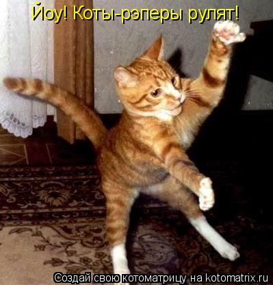 Котоматрица: Йоу! Коты-рэперы рулят!