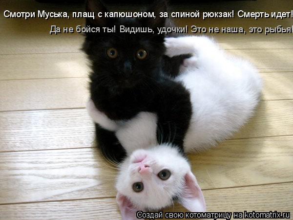 Котоматрица: Смотри Муська, плащ с капюшоном, за спиной рюкзак! Смерть идет! Да не бойся ты! Видишь, удочки! Это не наша, это рыбья!