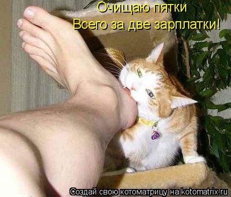 Котоматрица: Всего за две зарплатки! Очищаю пятки