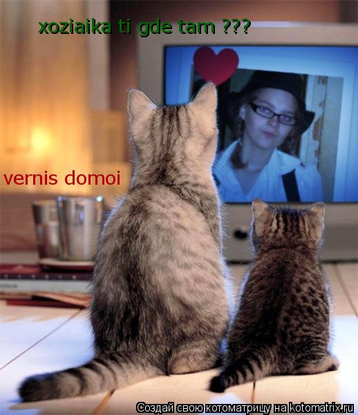 Котоматрица: xoziaika ti gde tam ??? vernis domoi