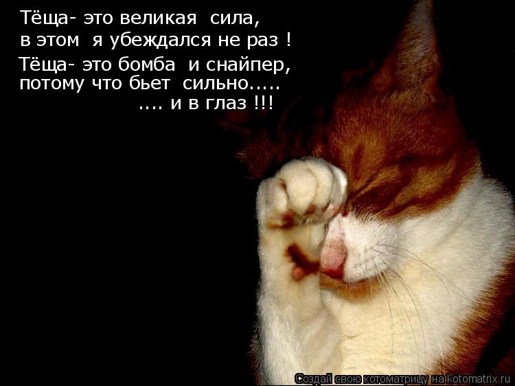 Котоматрица: Тёща- это великая  сила, в этом  я убеждался не раз ! Тёща- это бомба  и снайпер, потому что бьет  сильно.....  .... и в глаз !!!