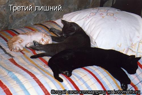 Котоматрица: Третий лишний.