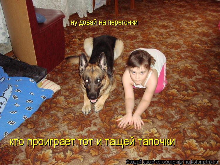 ну довай на перегонки кто проиграет тот и тащей тапочки... Котоматрица: ну довай на перегонки кто проиграет тот и тащей тапочки