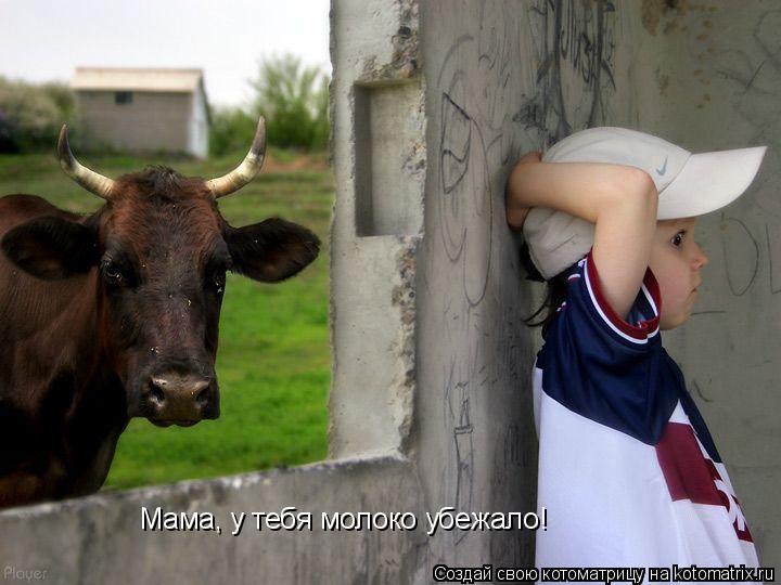 Мама, у тебя молоко убежало!... Котоматрица: Мама, у тебя молоко убежало!