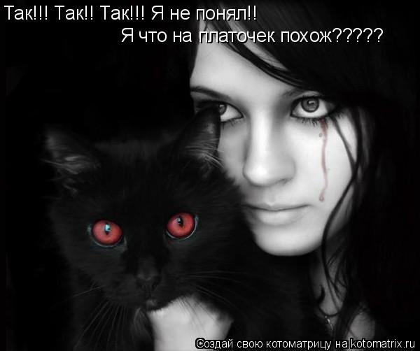 Так!!! Так!! Так!!! Я не понял!! Я что на платочек похож?????... Котоматрица: Так!!! Так!! Так!!! Я не понял!! Я что на платочек похож?????