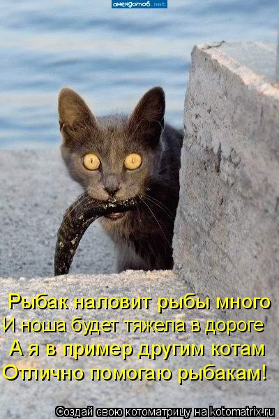 Рыбак наловит рыбы много И ноша будет тяжела в дороге А я в пример другим котам Отлично помогаю рыбак... Котоматрица: Рыбак наловит рыбы много И ноша будет тяжела в дороге А я в пример другим котам Отлично помогаю рыбакам!