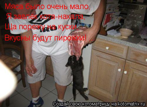 Котоматрица: Мяса было очень мало, Я завлёк кота-нахала, Ща порежу на куски, Вкусны будут пирожки! ...