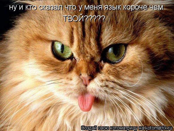 Котоматрица: ну и кто сказал что у меня язык короче чем  ТВОЙ?????