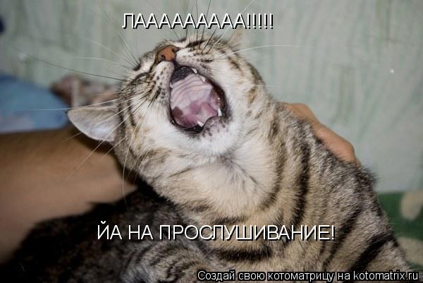 Котоматрица: ЛААААААААА!!!!! ЙА НА ПРОСЛУШИВАНИЕ!