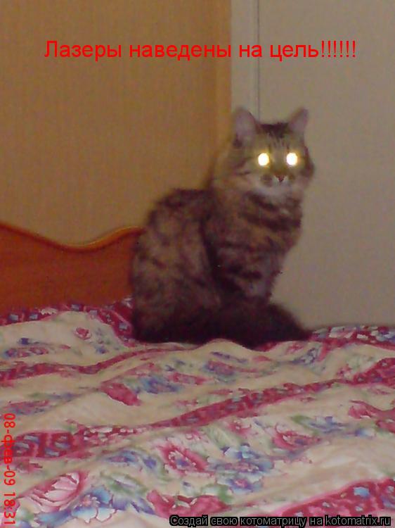 Котоматрица: Лазеры наведены на цель!!!!!!