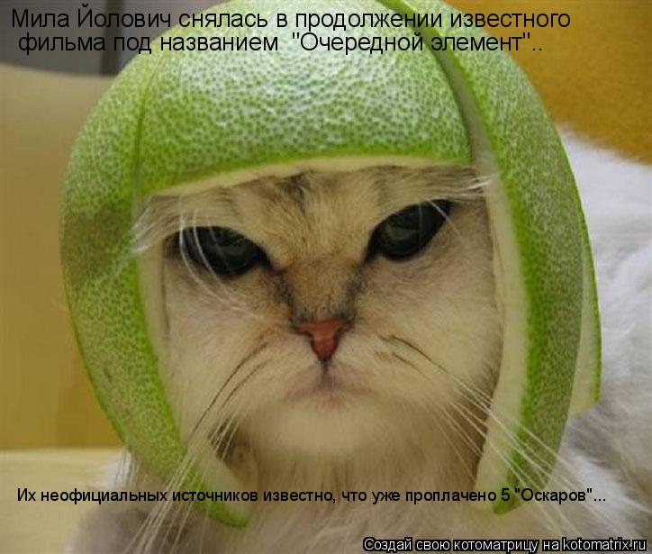 Котоматрица: Мила Йолович снялась в продолжении известного фильма под названием  "Очередной элемент".. Их неофициальных источников известно, что уже про