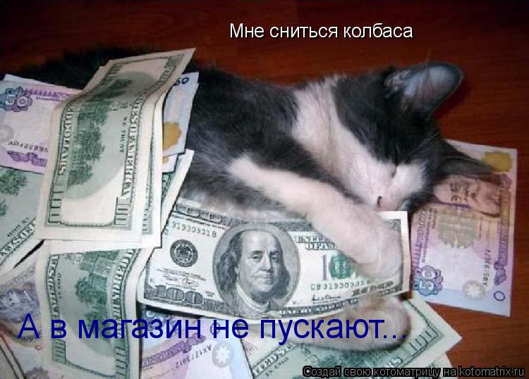 Котоматрица: Мне сниться колбаса А в магазин не пускают...