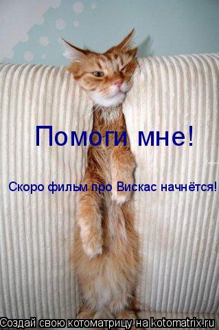 Котоматрица: Помоги мне!  Скоро фильм про Вискас начнётся!