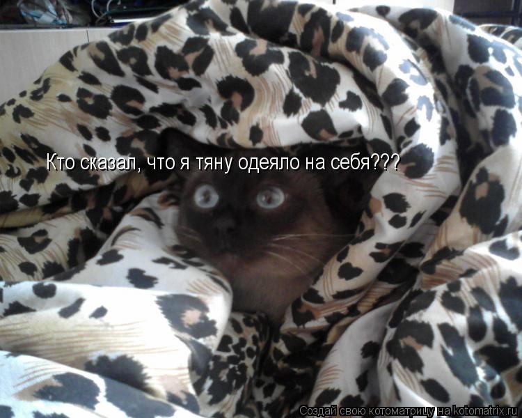 Котоматрица: Кто сказал, что я тяну одеяло на себя???