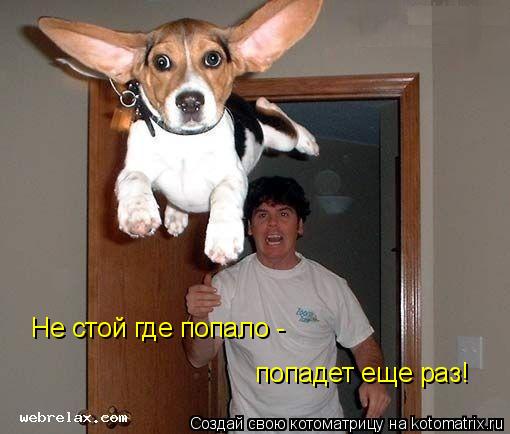 Котоматрица: Не стой где попало - попадет еще раз!