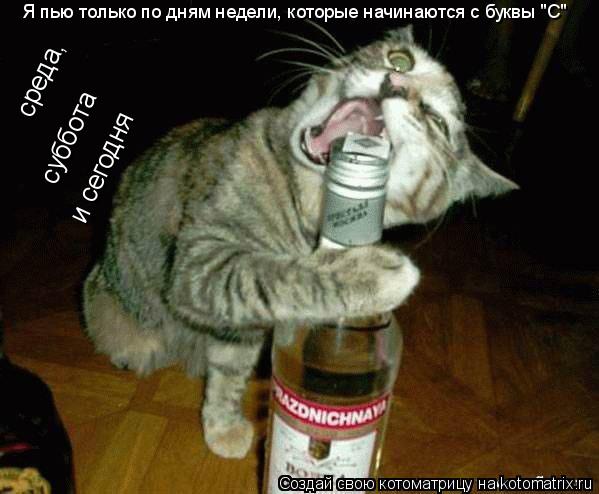 Котоматрица: Я пью только по дням недели, которые начинаются с буквы "С" среда,  суббота  и сегодня