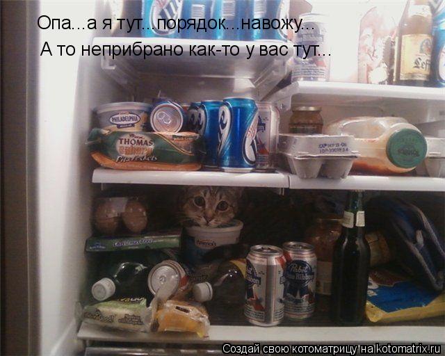 Котоматрица: А то неприбрано как-то у вас тут... Опа...а я тут...порядок...навожу...