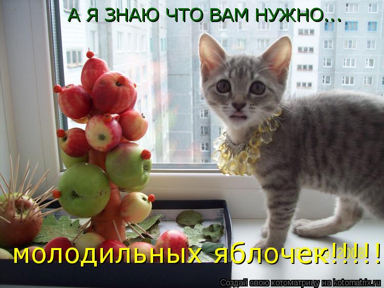 А Я ЗНАЮ ЧТО ВАМ НУЖНО... молодильных яблочек!!!!!... Котоматрица: А Я ЗНАЮ ЧТО ВАМ НУЖНО... молодильных яблочек!!!!!