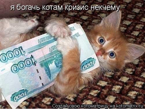 Котоматрица: я богачь котам кризис некчему