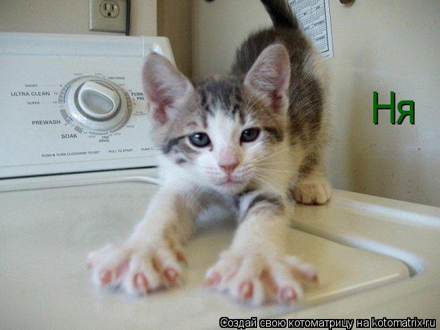 Ня... Котоматрица: Ня