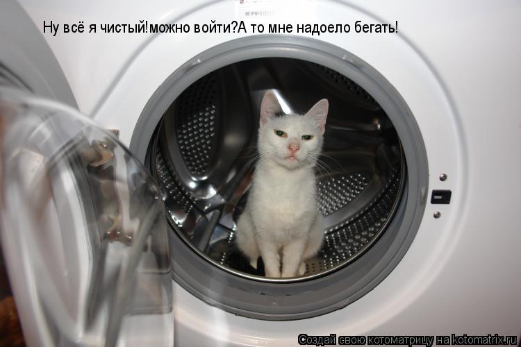 Котоматрица: Ну всё я чистый!можно войти?А то мне надоело бегать!