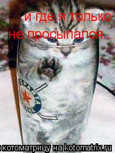 Котоматрица: и где я только не просыпался....  не просыпался....
