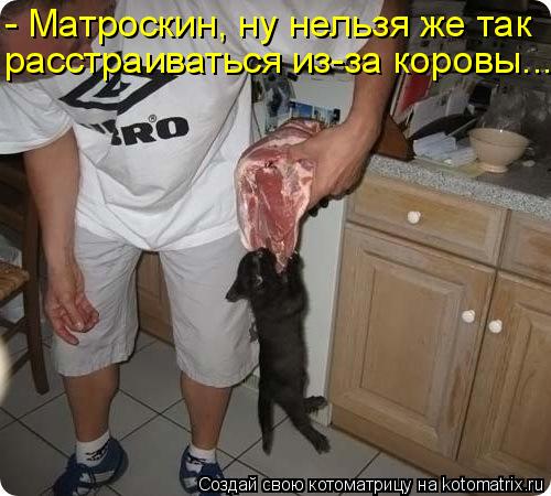 - Матроскин, ну нельзя же так расстраиваться из-за коровы...... Котоматрица: - Матроскин, ну нельзя же так расстраиваться из-за коровы...