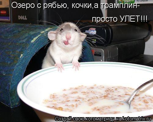 Озеро с рябью, кочки,а трамплин- просто УЛЕТ!!!... Котоматрица: Озеро с рябью, кочки,а трамплин- просто УЛЕТ!!!