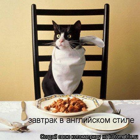 Котоматрица: завтрак в английском стиле