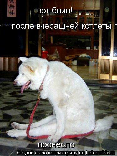Котоматрица: вот блин!   после вчерашней котлеты пронесло пронесло