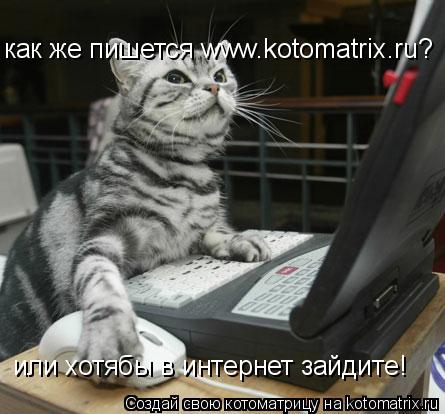 Котоматрица: как же пишется www.kotomatrix.ru? или хотябы в интернет зайдите!