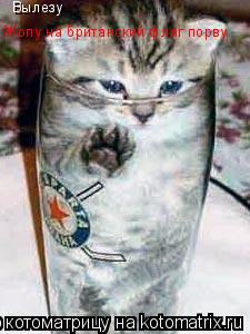 Котоматрица: Вылезу Жопу на британский флаг порву