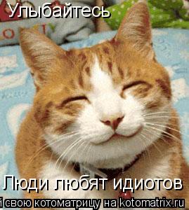 Котоматрица: Улыбайтесь Люди любят идиотов