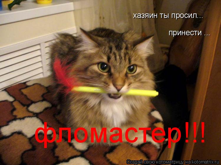 Котоматрица: хазяин ты просил... принести ... фломастер!!!