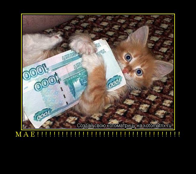 маё!!!!!!!!!!!!!!!!!!!!!!!!!!!!!!!!!!! ... Котоматрица: маё!!!!!!!!!!!!!!!!!!!!!!!!!!!!!!!!!!!