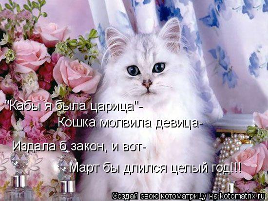 "Кабы я была царица"- Кошка молвила девица- Издала б закон, и вот- Март бы длился целый год!!!... Котоматрица: "Кабы я была царица"- Кошка молвила девица- Издала б закон, и вот- Март бы длился целый год!!!