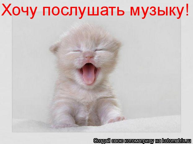 Котоматрица: Хочу послушать музыку!