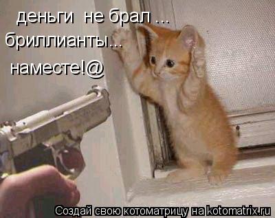 Котоматрица: деньги  не брал ... бриллианты... наместе!@