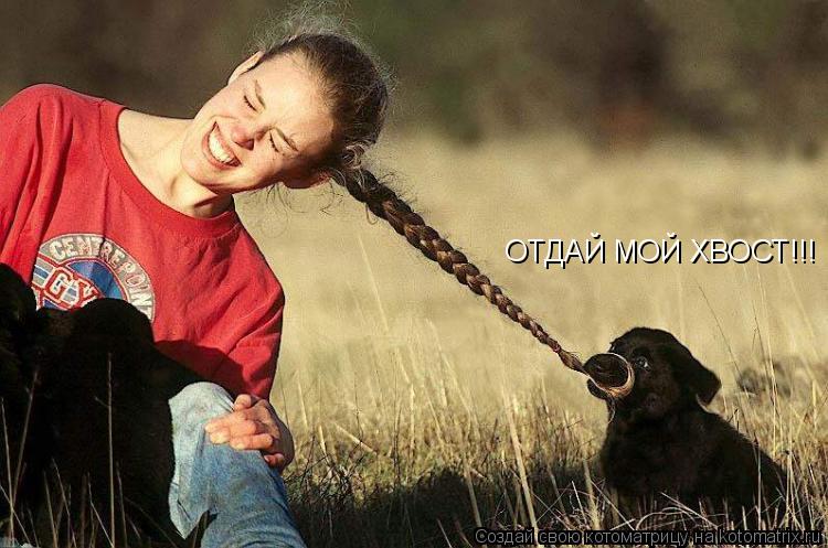 Котоматрица: ОТДАЙ МОЙ ХВОСТ!!!