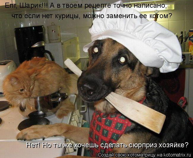 Епт, Шарик!!! А в твоем рецепте точно написано, что если нет курицы, можно заменить ее котом? Нет! Но... Котоматрица: Епт, Шарик!!! А в твоем рецепте точно написано, что если нет курицы, можно заменить ее котом? Нет! Но ты же хочешь сделать сюрприз хозяйке?
