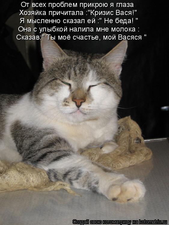 От всех проблем прикрою я глаза Я мысленно сказал ей :" Не беда! " Хозяйка причитала :"Кризис Вася!" ... Котоматрица: От всех проблем прикрою я глаза Я мысленно сказал ей :" Не беда! " Хозяйка причитала :"Кризис Вася!" Она с улыбкой налила мне молока : Сказав:" Ты