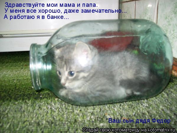 Здравствуйте мои мама и папа. У меня все хорошо, даже замечательно... А работаю я в банке... Ваш сы... Котоматрица: Здравствуйте мои мама и папа. У меня все хорошо, даже замечательно... А работаю я в банке... Ваш сын дядя Федор